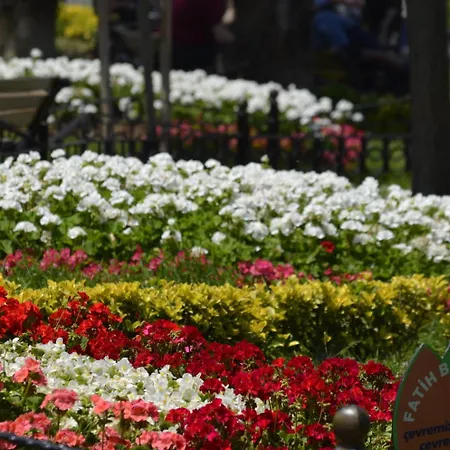 Ekol Hotel 2* Istanbul